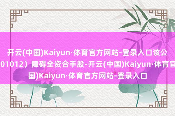 开云(中国)Kaiyun·体育官方网站-登录入口该公司由隆基绿能（601012）障碍全资合手股-开云(中国)Kaiyun·体育官方网站-登录入口