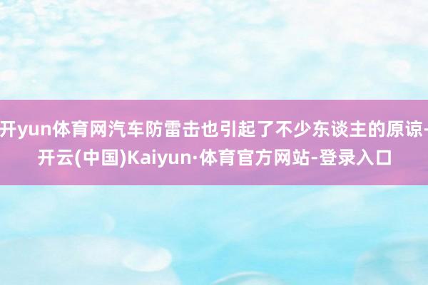 开yun体育网汽车防雷击也引起了不少东谈主的原谅-开云(中国)Kaiyun·体育官方网站-登录入口