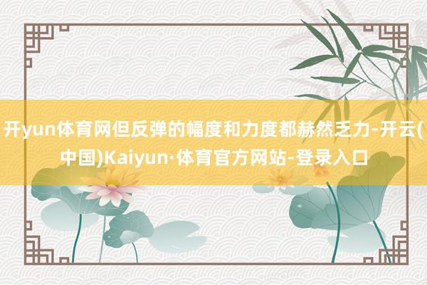 开yun体育网但反弹的幅度和力度都赫然乏力-开云(中国)Kaiyun·体育官方网站-登录入口